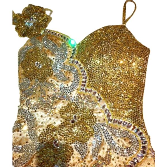 Couture Fully Beaded in Swarovski Crystals Fringes Flowers Prom Party Dress Gown - Picture 6 of 12